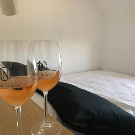 Vinarije In Apartment Mionica